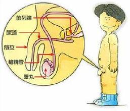 射精痛