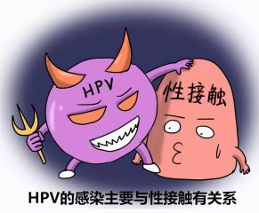 hpvȾô